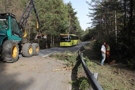 B 189 Holzschlaegerung 2014-03-28_5 JMF