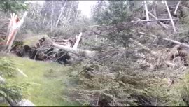 Grünberg Sturmschäden 2023-07-27 Video Neurauter Erich