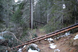 Sturmschäden li Klammbach 2023-12-26_3 JMF