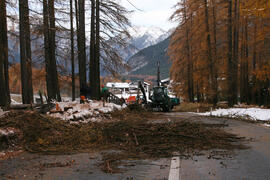 B 189 Baumfällungen 2010-11-08_12 JMF