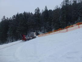 Holztransport 2013-02-12_2 JMF