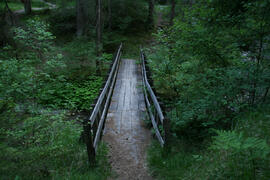 Brücke Sturlbach Klamm 2011-05-25_1 JMF