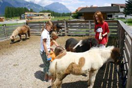 Ponys2007-07-01_2