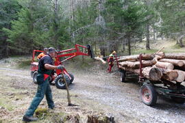 Holzen Ötztaler Wassertal 2020-04-11_1 JMF