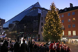 Weihnachtsbaum 2024-11-29_31 JMF - Kopie