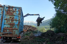 Grünschnittdeponie Bauhof Finsterfiecht 2023-08-17_2JMF