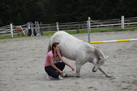 Pegasus 2017-09-09_05 Krug Herbert