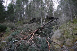Sturmschäden re Klammbach 2023-12-26_5 JMF