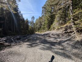 Bachweg Lehnberg 2024-10-21_2 JMF