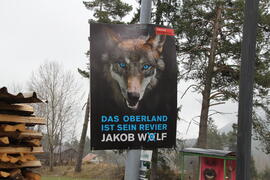 LTW 2013 ÖVP Wolf Jakob_1