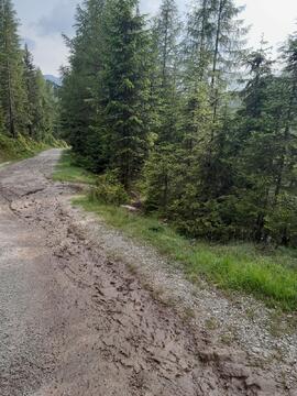 Lehnberg Unwetter 2023-06-21_3 Strigl Daniel