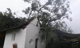 Kapelle Wald Umsturz Linde 22Strigl Daniel