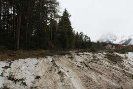 Holzen Rudig 2013-02-01_3 JMF