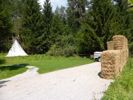 Wigwam Pflanzgarten 2015-07-19_2 JMF