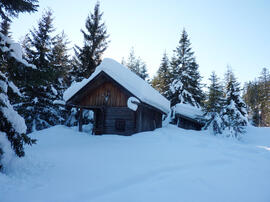 Holzerhütte Zwischensimmering 296 2012-01-12_10JMF