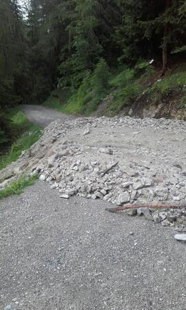 Lehnberg 2017-06-28_8 Strigl Daniel