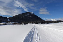 Unterstrass Langlaufloipe 2021-01-22 JMF