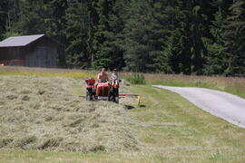 Feldarbeit Gremel Thomas 2012-06-16 JMF