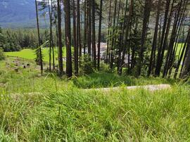 Trinkwasser Arzkasten Gp 3966 2020-07-12_3 JMF
