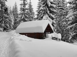 Weisland Winterwanderweg 2021-01-17 JMF