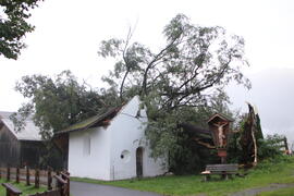 Kapelle Wald Umsturz Linde 18JMF