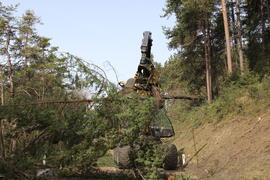 B 189 Holzschlaegerung 2014-03-28_11 JMF