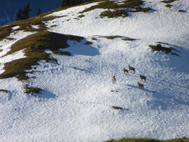 VS Simmeringalm 2013-10-17_08 Volksschule