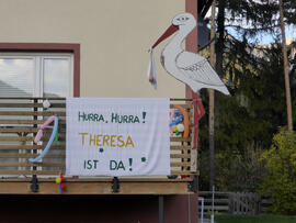 Theresa Kreidweg 2015-12-10 JMF