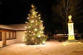 Weihnachtsbaum Widum 2011-12-26 JMF