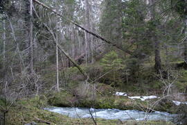 Sturmschäden li Klammbach 2023-12-26_2 JMF