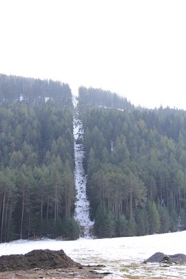 Grünberglift Trasse 2014-10-24 JMF