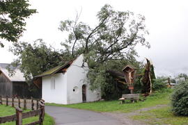 Kapelle Wald Umsturz Linde 25JMF