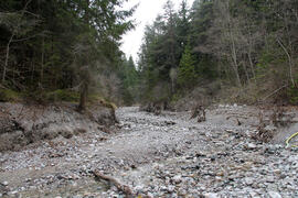 Sturlbach 2014-04-05_5 JMF