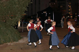Weihnachtsbaum 2024-11-29_35 JMF - Kopie