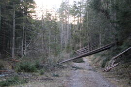 Sturmschäden re Klammbach 2023-12-26_2 JMF