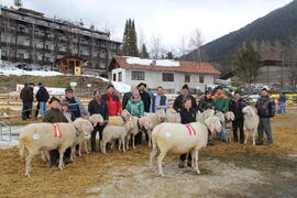 Jub-Ausstellung 60er 2015-02-22_14 JMF