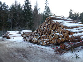 Holz Grünberg 2013-02-17 JMF