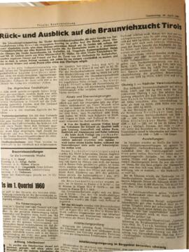TBZ 1960-04-28 Nr 17 Seite 8 Braunviehzuchtverein Obsteig I