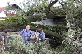 Kapelle Wald Umsturz Linde 55JMF