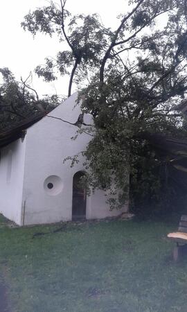 Kapelle Wald Umsturz Linde 20Strigl Daniel