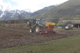Pilzgerste_2021-04-21_4 JMF