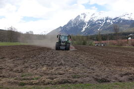Pilzgerste_2021-04-21_1 JMF