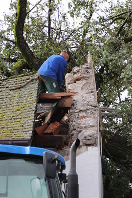 Kapelle Wald Umsturz Linde 46JMF