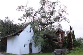 Kapelle Wald Umsturz Linde 02JMF