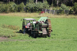 Traktor + Kartoffelroder 2012-08-18 JMF