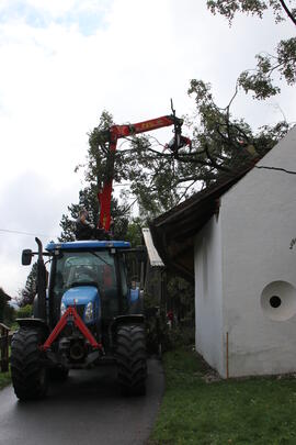 Kapelle Wald Umsturz Linde 35JMF