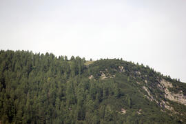Plattform Horn 2013-07-28 JMF
