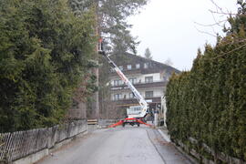 Kreidweg Wammes Baumschneiden 2020-03-10 JMF