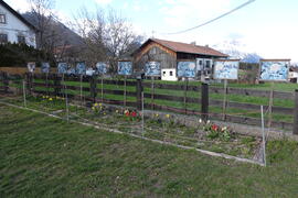 VS-Blumenwiese 2023-04-21 JMF