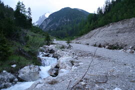 Bachweg Lehnberg 2010-06-06_8 JMF